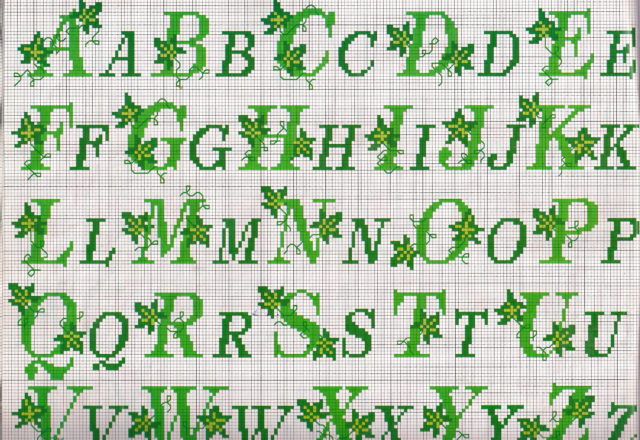 Alphabet ivy