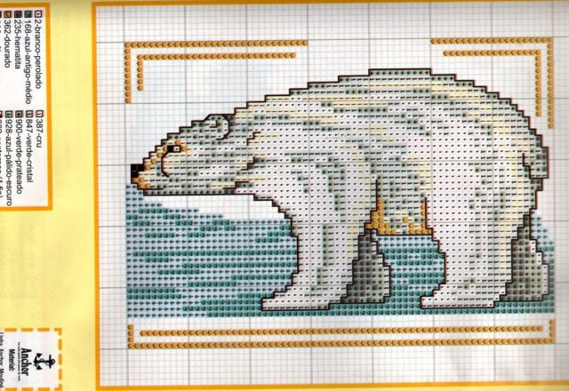 Animals polar bear