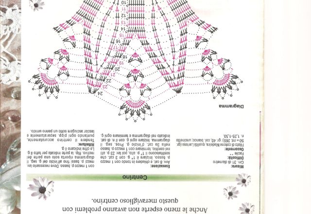 Crochet with daisy doily (2)