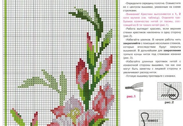 Flower Gladiolo cross stitch pattern (1)