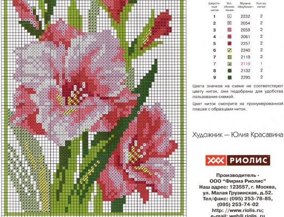 Flower Gladiolo cross stitch pattern (2)