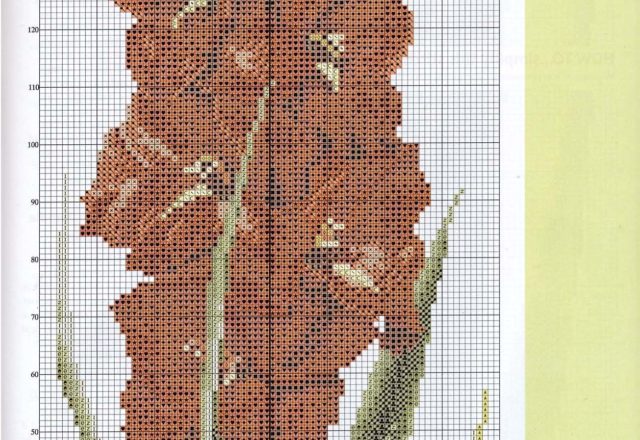 Gladioli flowers cross stitch pattern (2)