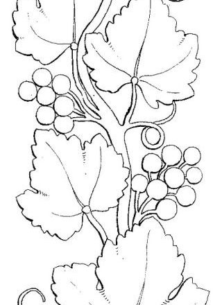 Grapes free hand embroidery designs patterns