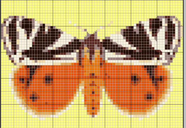 Zebrine and orange cross stitch butterfly