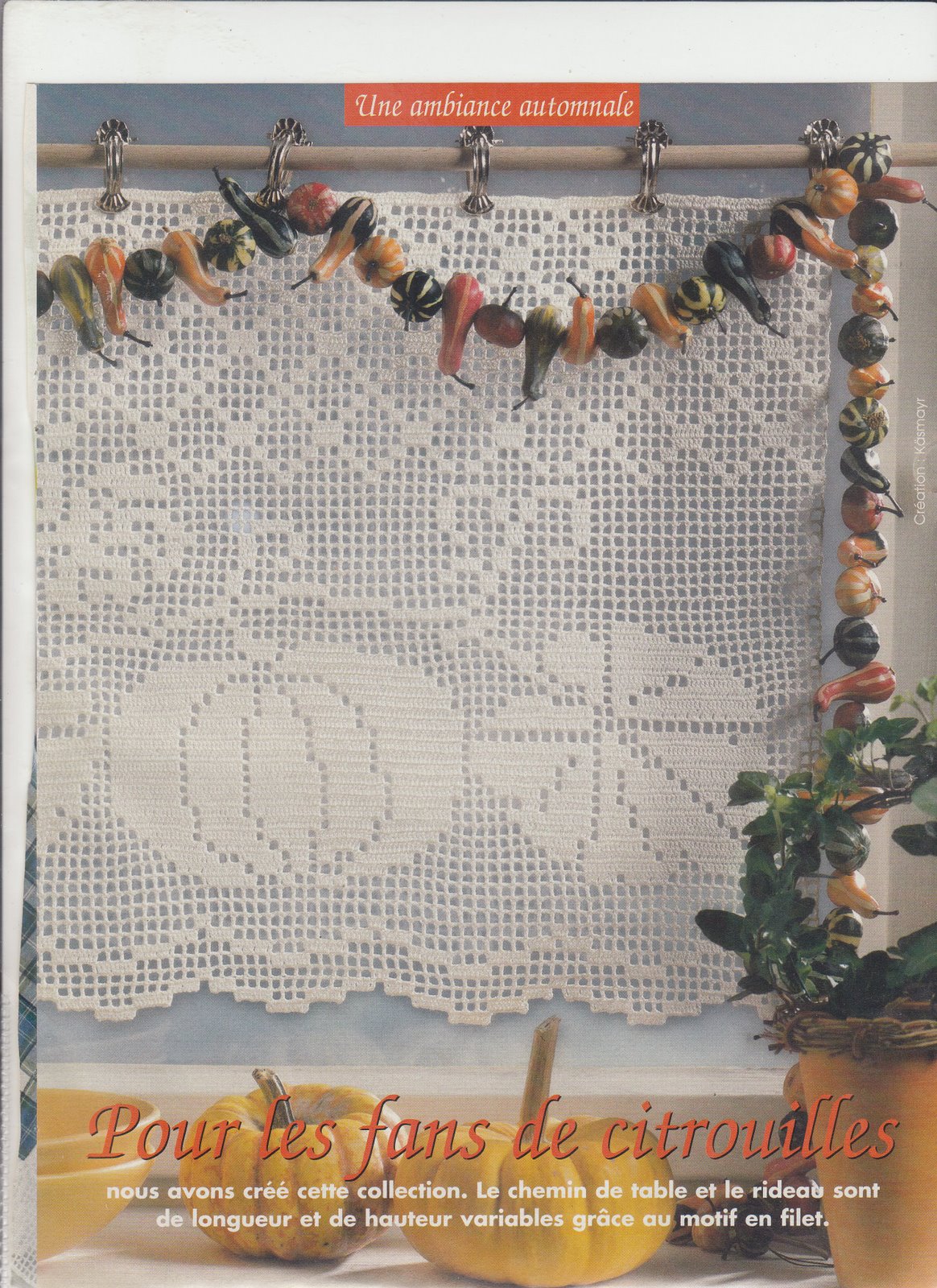 curtain filet pumpkins (1)