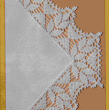 sophisticated crochet border angle (1)