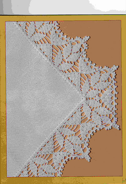 sophisticated crochet border angle (1)